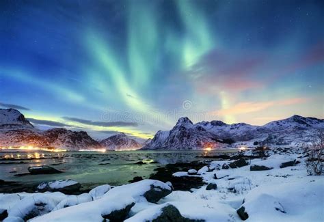 Aurora Borealis Auf Den Lofoten Inseln Norwegen Grüne Nordlichter über