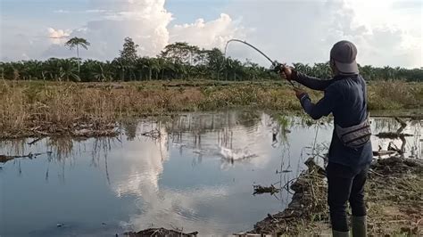 Meledak Tiba Keluar Dari Dalam Air Hantam Umpan Pemancing Youtube