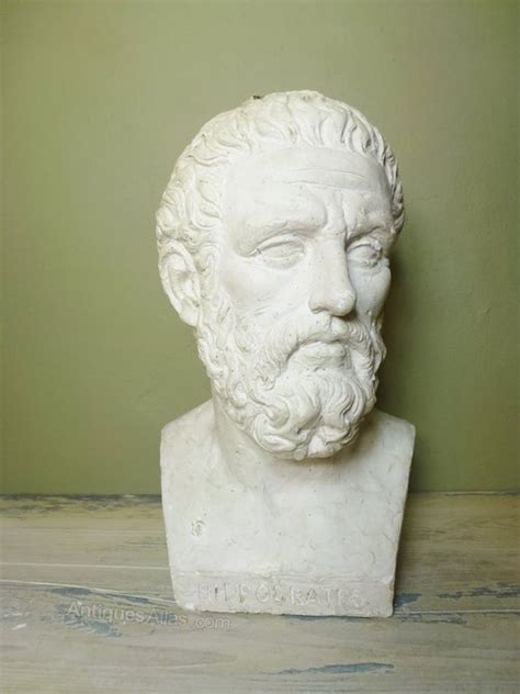 Antiques Atlas Plaster Bust Of Hippocrates