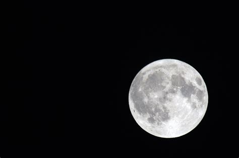 Now that we are 28 days into houston chronicle· 3 days ago. Gene Norman's Houston Weather Blog: Full Moon Tonight