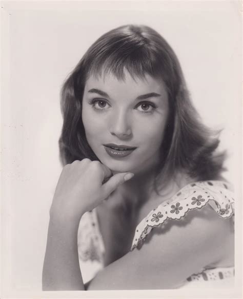 Lot Elsa Martinelli Thirty Black White Publicity Photographs Headshots C