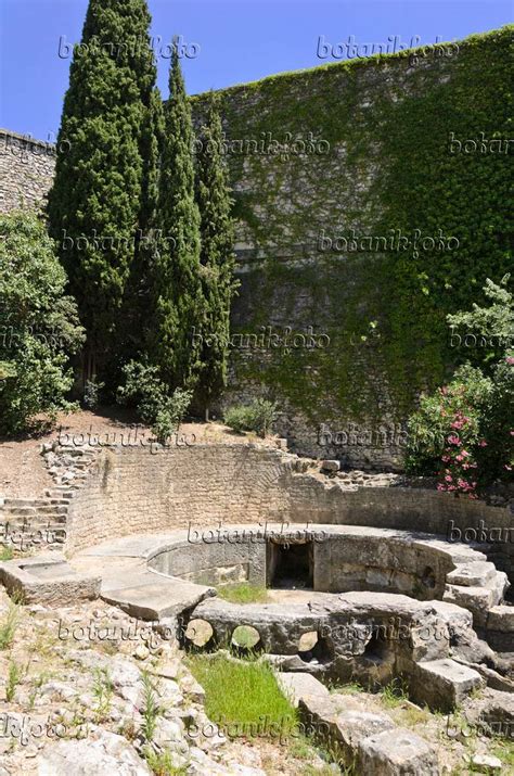 Image Castellum, Nîmes, France - 557287 - Images of Plants and Gardens ...