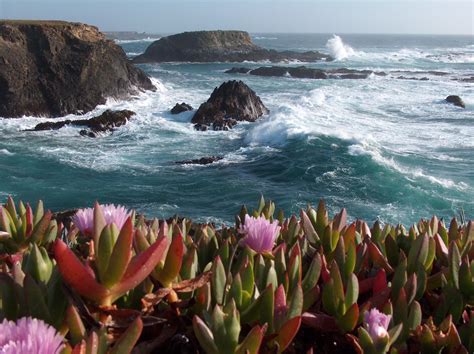 Two Beautiful Northern California Beach Towns With Totally Different Vibes