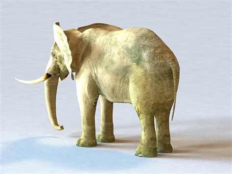 Male African Elephant 3d Model 3d Studio3ds Max Files Free Download