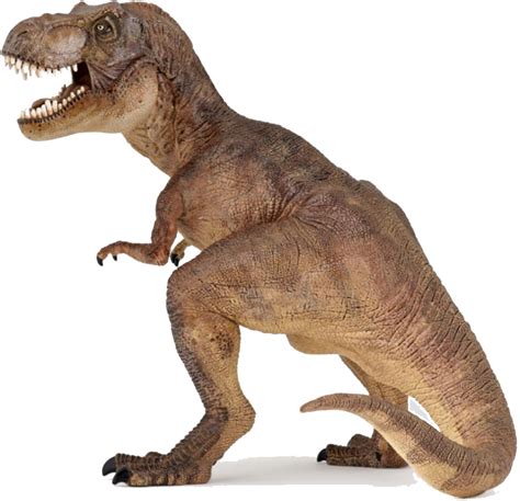 Tyrannosaurus rex was a large carnivore; T Rex Dinosaurs PNG Transparent T Rex Dinosaurs.PNG Images ...