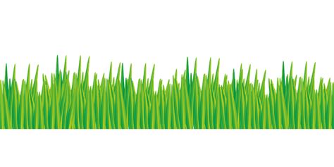 Pasto Hierba Meadow · Gráficos Vectoriales Gratis En Pixabay