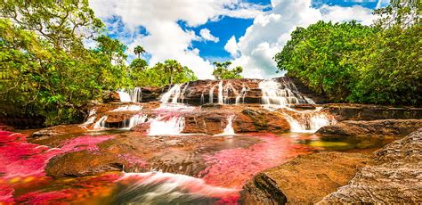 See Colombias Rainbow River Caño Cristales Cano Cristales Hd