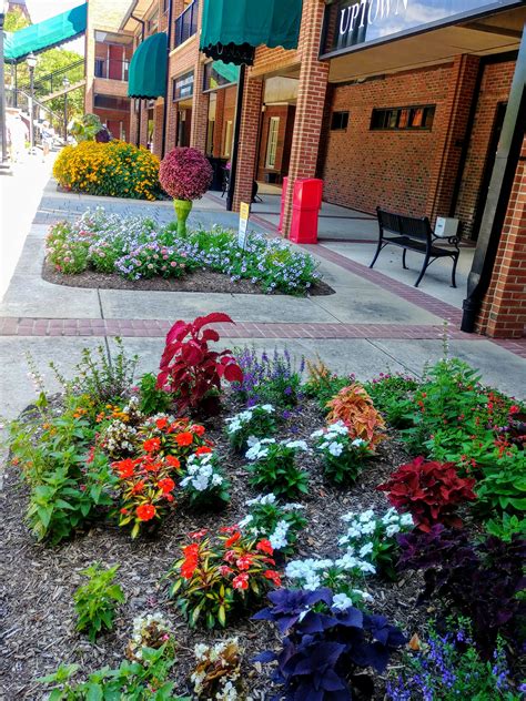 Hours may change under current circumstances Another Mile Another Destination Blog: Festival of Flowers ...