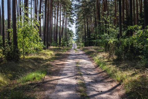 One of the most popular trails in this area is marked red kashubian trail of julian rydzykowski, . Kaszubska Marszruta - Bory Tucholskie na weekend - ciekawe ...
