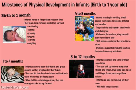 Artifact 1 Milestones Of Physical Development In Infants Hali Ramos