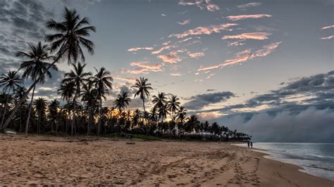 Desktop Wallpaper Sunset Beach Palm Tree Sky 4k Hd Image Picture