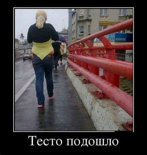 Демотиваторы про диету Демотиваторы страница 3, прикольные и смешные демотиваторы на fun Демотиваторы страница 3, прикольные и смешные демотиваторы на fun Демотиваторы про диету