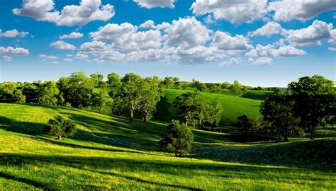 Green Valley Scenery Nature Landscape Photo Trees Blue Sky