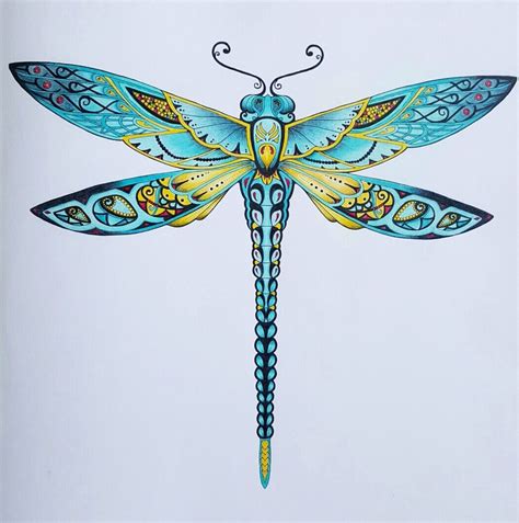 Johanna Basford Dragonfly Artwork Dragonfly Tattoo Design Dragonfly
