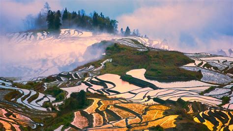 The Marvel Of Chinas Multi Generational Rice Terraces Bbc Travel