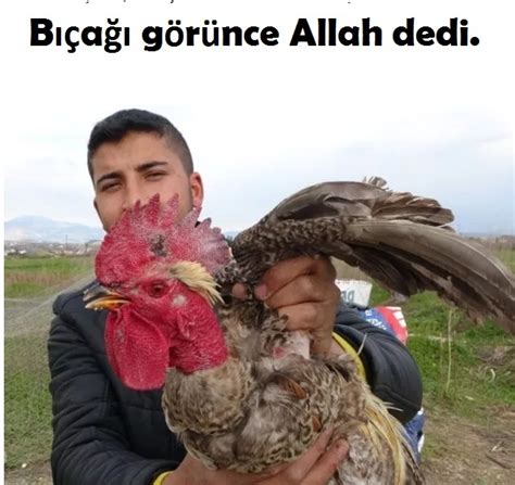 Horoz Kesilmek üzereyken Allah Dedi Siz Olsaydınız Keser Miydiniz Kizlarsoruyor