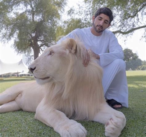 see the crown prince of dubai s insanely luxurious adventurous life on instagram 22 words