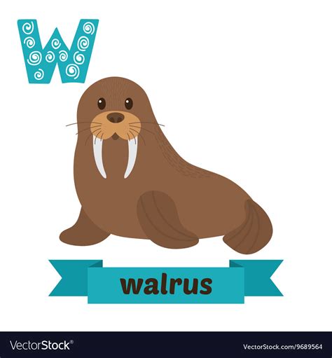 Walrus W Letter Cute Children Animal Alphabet In Vector Image