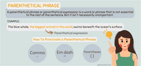 Parenthetical Phrases Definition And Examples