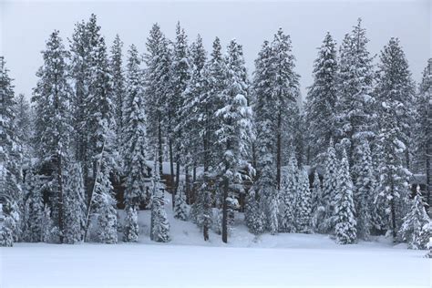 Photos See How Much Snow There Is In Truckee California