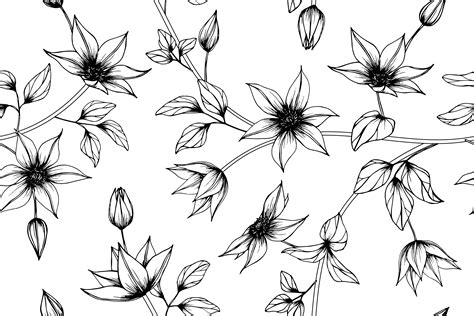 Hand Drawn Clematis Flower Pattern 962982 Vector Art At Vecteezy