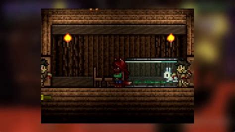 Terraria Zoologist Unlock Guide How To Get Zoologist Npc