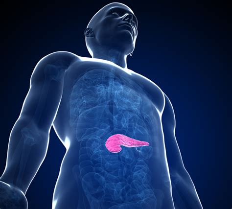 Pancreas Pain Whats Behind It University Health News
