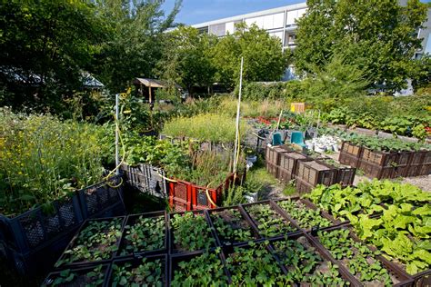 Urban Gardening Berlin Jutta Riegel Reportage Lifestyle And Travel