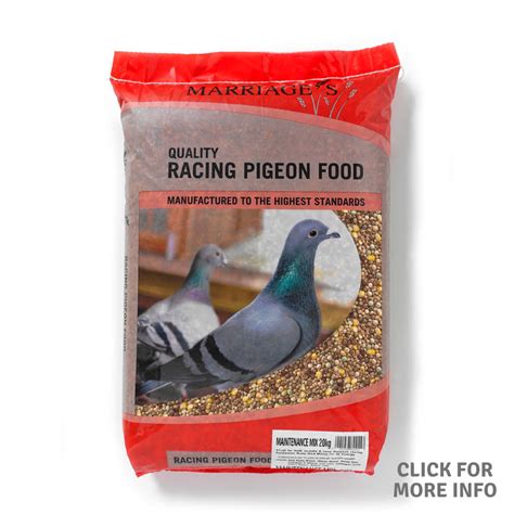 Racing Pigeon Food Marriages Quality Pet Foods And Animal Feeds
