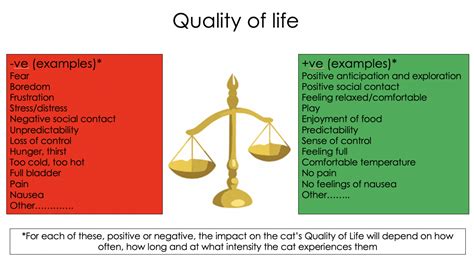 Care Quality Of Life Assessment International Cat Care