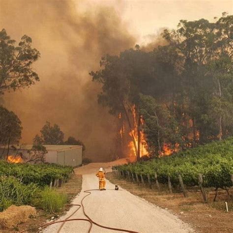 Untuk diketahui, luasan kebakaran yang terjadi. Ini Kronologi Ringkas Kebakaran Hutan Australia Yang ...