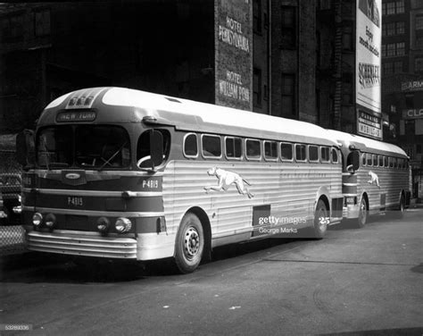 Greyhound Buses In New York City Greyhound Bus Greyhound Bus