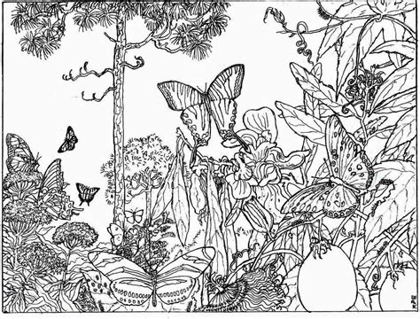 Free Coloring Pages For Adults Nature Download Free Coloring Pages For
