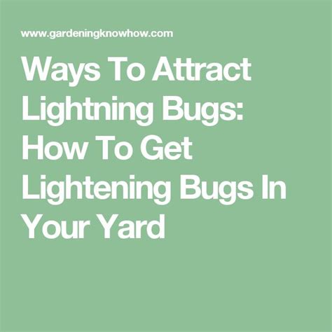 Ways To Attract Lightning Bugs How To Get Lightening Bugs In Your Yard