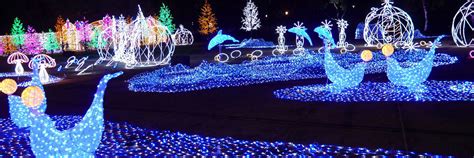 Wonderful Park Light Show In Osaka
