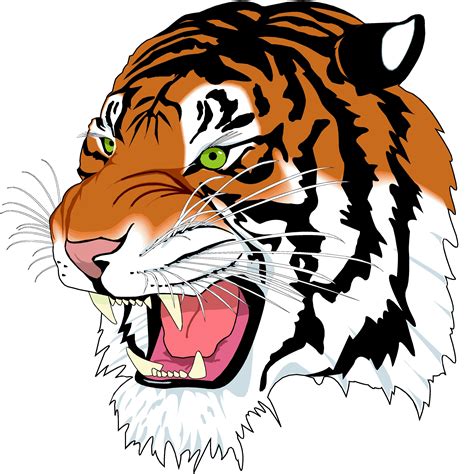 Best Tiger Clipart 25852