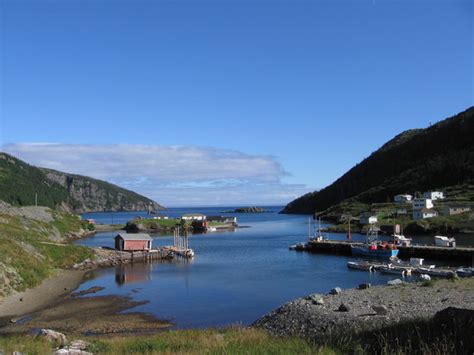 Fotos De Terra Nova E Labrador Imagens Selecionadas De Terra Nova E