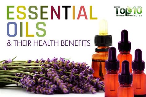 10 Most Popular Essential Oils And Their Health Benefits Top 10 Home