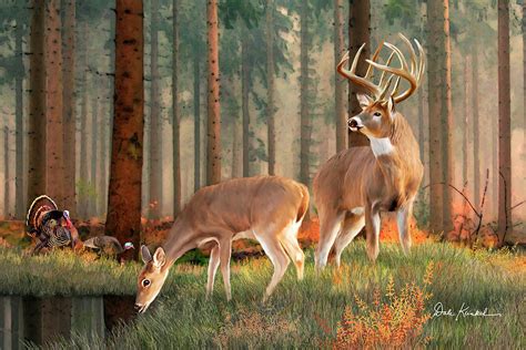 Whitetail Deer Art Print Featuring The Whitetail Deer Painting The