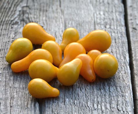Yellow Pear Tomato Seeds Heirloom Cherry By Mountainlilyfarm