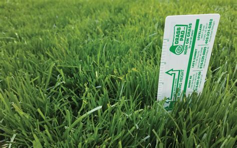 What Is The Best Mowing Height For Your Lawn Grass Pad