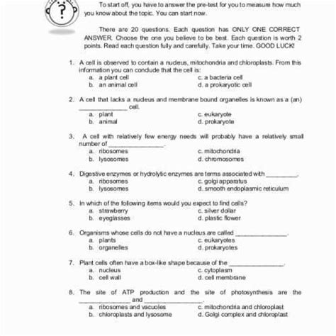 50 Newton's Third Law Worksheet Answers in 2020 | Persuasive writing