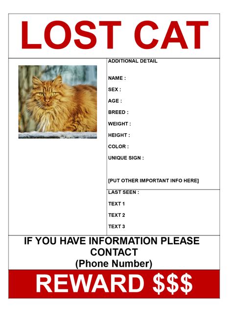 Find Missing Cat Poster With Reward Template Templates At