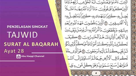 Download Contoh Surat Surat Al Baqarah Beserta Tajwidnya Gratis Contoh Surat