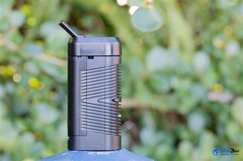 Now, the strategist has taken that model of what falls where on our taste hierarchies and applied it to toys. Top 10 Vapes Under $150 for Dry Herbs | VapeFuse Blog