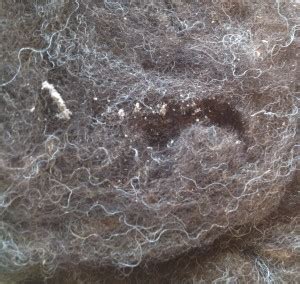 How to repair small moth holes in a favorite soft, cozy and warm sweater. Wool Moths - SlowYarn.com - SlowYarn.com