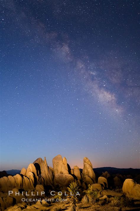 Milky Way Over Joshua Tree National Park At Astronomical Twilight