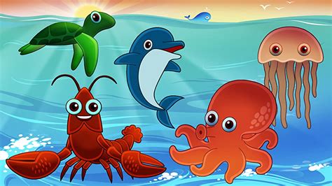 Watch Learning Sea Animals Names And Sounds Prime Video