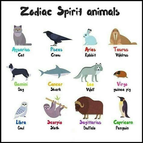 Zodiac Spirit Animal Zodiac Signs Animals Zodiac Dog Zodiac
