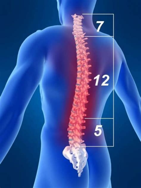 Pin On Pain Management